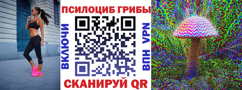 Купить где  Голицыно  Псилоцибиновые грибы Psilocybine cubensis 